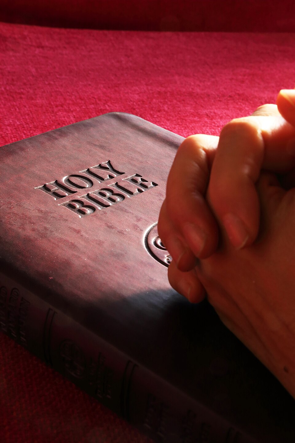 Real photograph: praying hands on a Bible — CC0 public-domain image Praying hands resting on an open Bible, a real photograph representing faith and encouragement