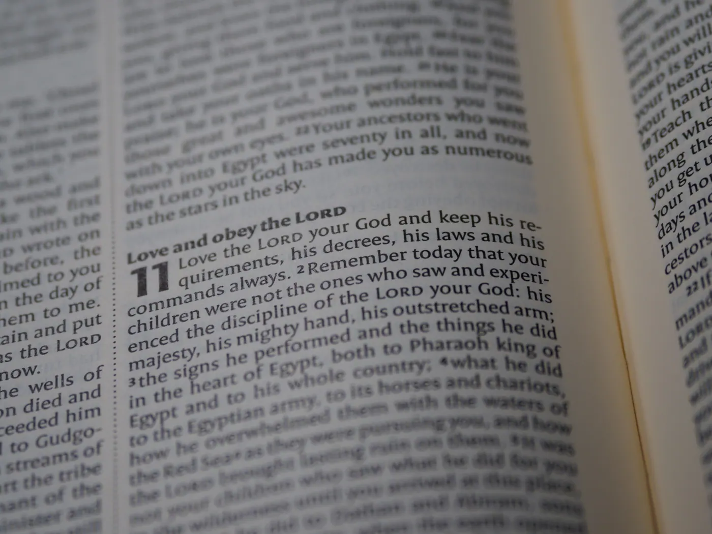 Open Bible page focused on the words Love and obey the Lord